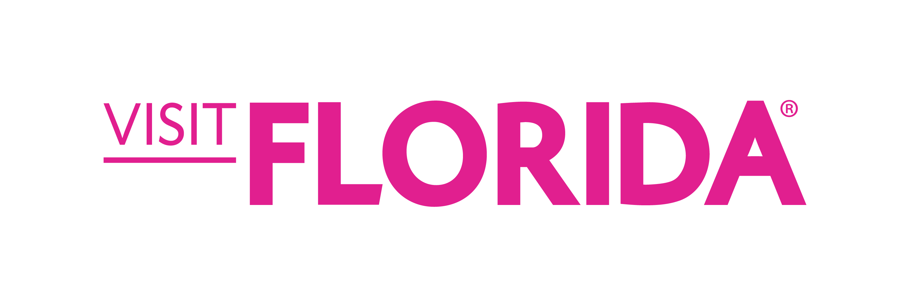 Partner 3 Logo